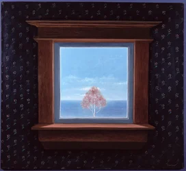 Through the Window, 1981